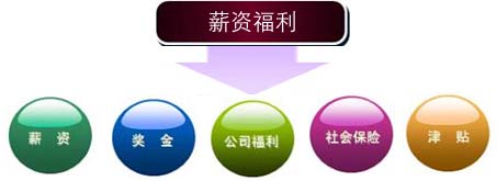 薪资福利